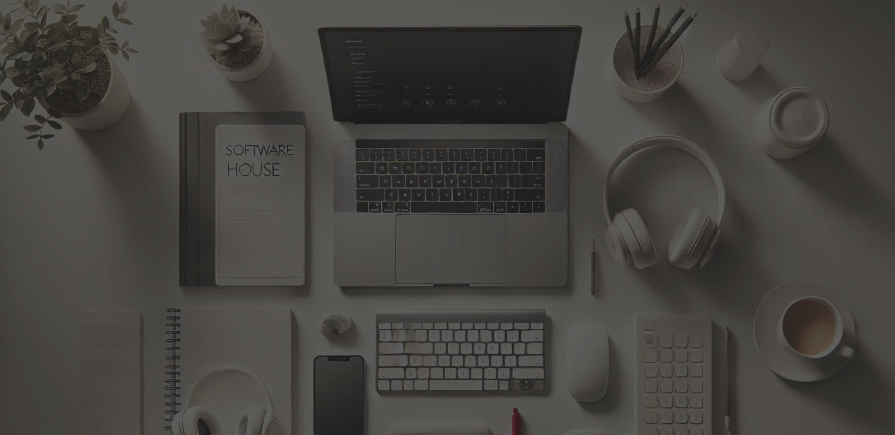 Red Horizon Solutions